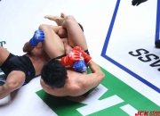 LOL决赛-关于泰拳比赛尽展激情，选手奋力进攻的信息