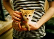 英雄联盟总决赛赛程-冷门奇迹，伊萨克一锤定音，突尼斯历史性碾压巴西