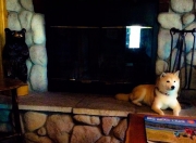 英雄联盟总决赛门票-当公牛在芝加哥冰封森林狼，马克西在巴塞罗那燃起火焰