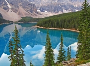 英雄联盟总决赛赛程-独行侠之咒，字母哥如何成为凯尔特人关键战役的破局者