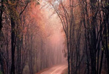 英雄联盟总决赛赛程-蓝色血液中燃烧的剑，欧冠之夜，基耶萨如何刺穿命运的沉默