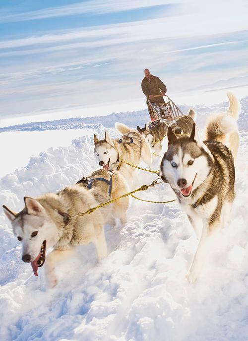 瑞士队在雪橇赛事中表现出色 瑞士队在雪橇赛事中表现出色