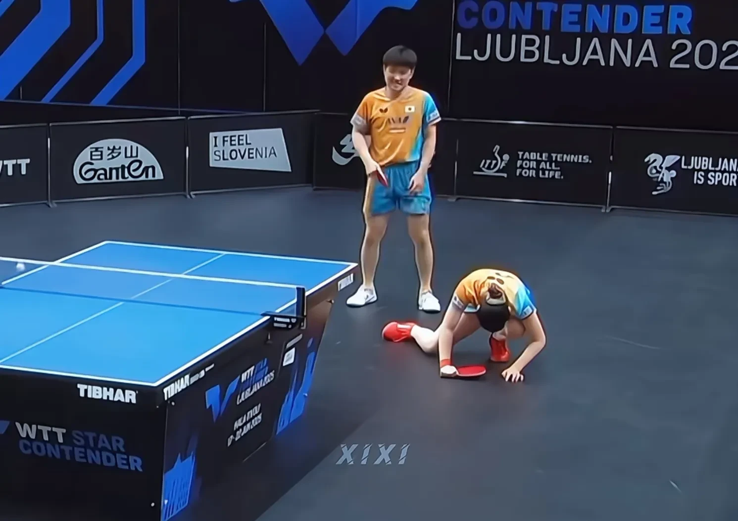 包含波兰队完胜韩国队,张本智和状态火热的词条 包含波兰队完胜韩国队,张本智和状态火热的词条