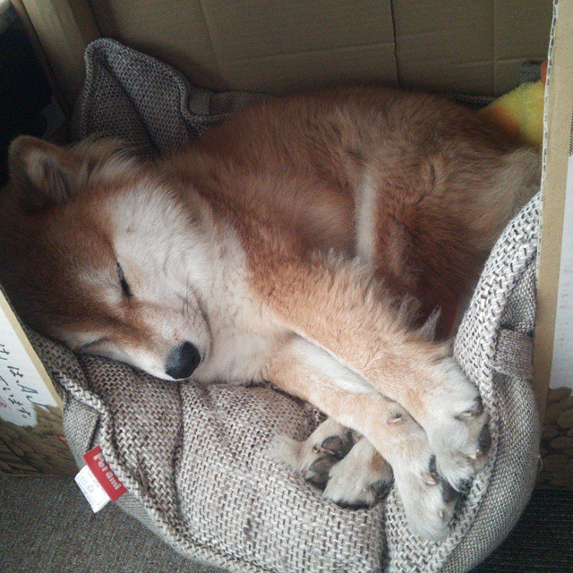 无形的锁链,从绿茵场上的环球迁徙到个体荣耀的刻写