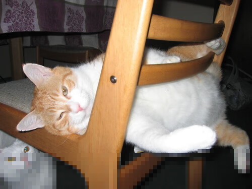 钢铁风暴眼，班凯罗如何用一守一攻终结勇士森林狼巅峰对决