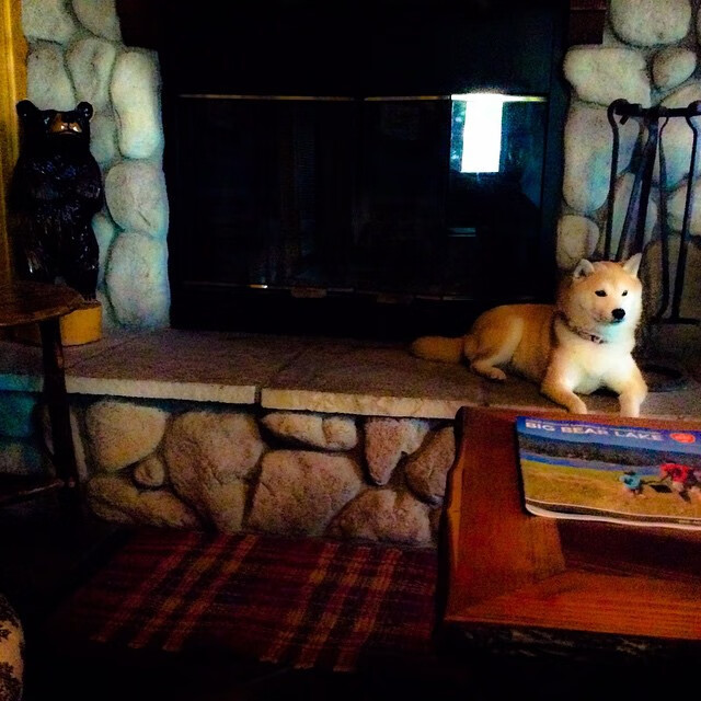 当公牛在芝加哥冰封森林狼，马克西在巴塞罗那燃起火焰