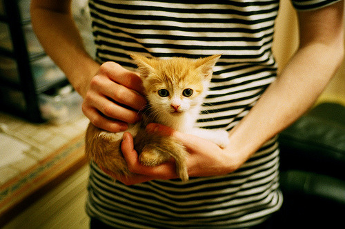 虚实交锋，当福克斯掌控比赛脉搏，深圳铁骑如何改写篮球次元？