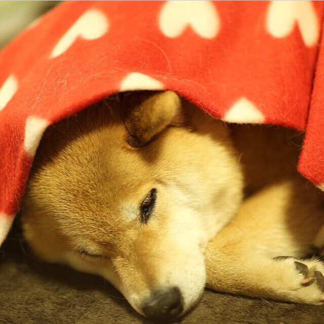 亚洲之光撕裂意甲夜空，久保建英独造三球引爆焦点战