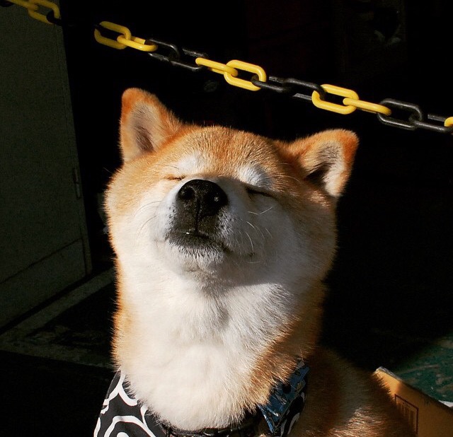 火力交响曲，卡拉斯科主导攻防，厄瓜多尔战术引擎全速碾压加拿大