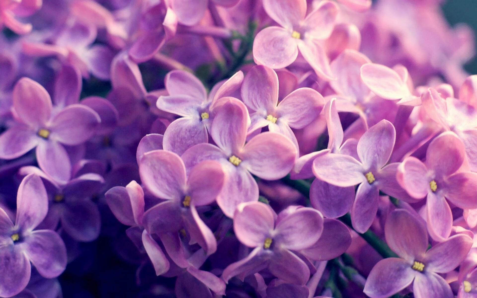 我们先来扩展思维，构思标题